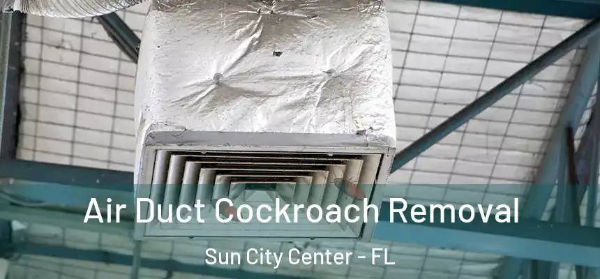 Air Duct Cockroach Removal Sun City Center - FL
