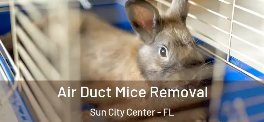 Air Duct Mice Removal Sun City Center - FL