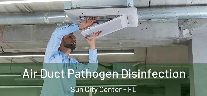 Air Duct Pathogen Disinfection Sun City Center - FL