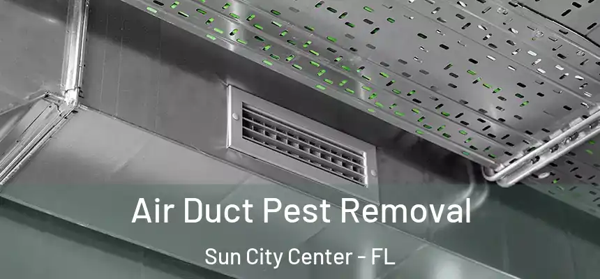 Air Duct Pest Removal Sun City Center - FL