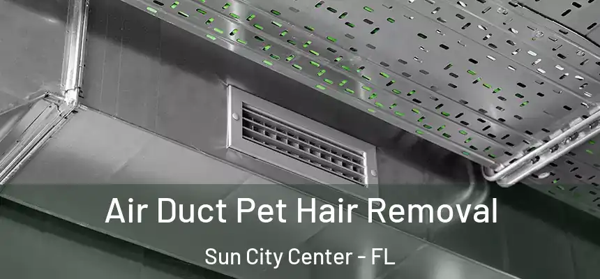 Air Duct Pet Hair Removal Sun City Center - FL