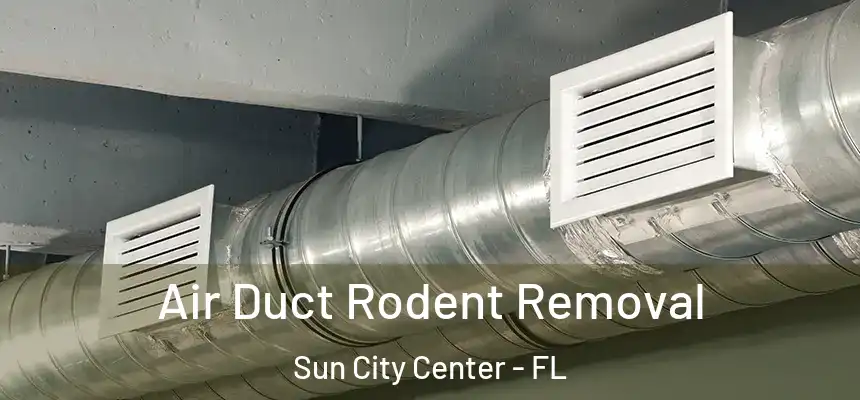 Air Duct Rodent Removal Sun City Center - FL