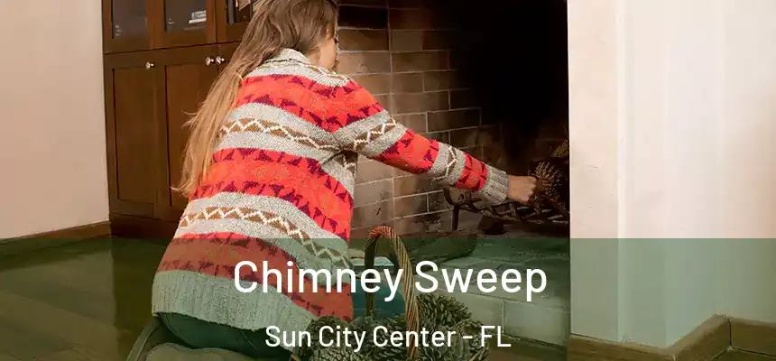 Chimney Sweep Sun City Center - FL