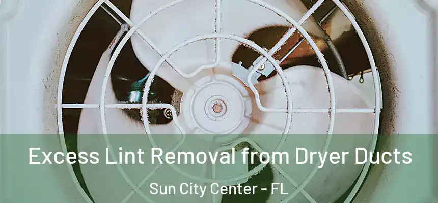 Excess Lint Removal from Dryer Ducts Sun City Center - FL