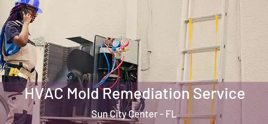 HVAC Mold Remediation Service Sun City Center - FL
