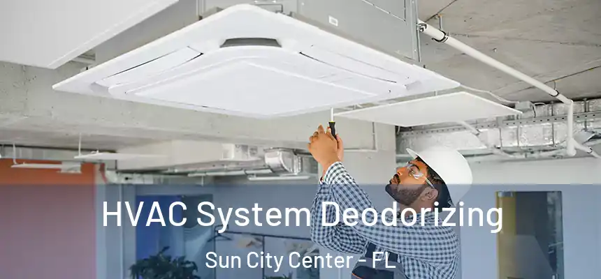 HVAC System Deodorizing Sun City Center - FL