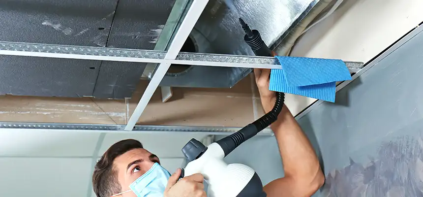 Our Air Duct Rodent Removal Services in Sun City Center, FL