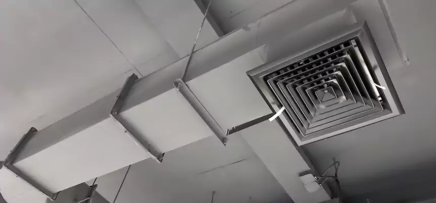 Our Pest Removal From Ducts Services in Sun City Center, FL