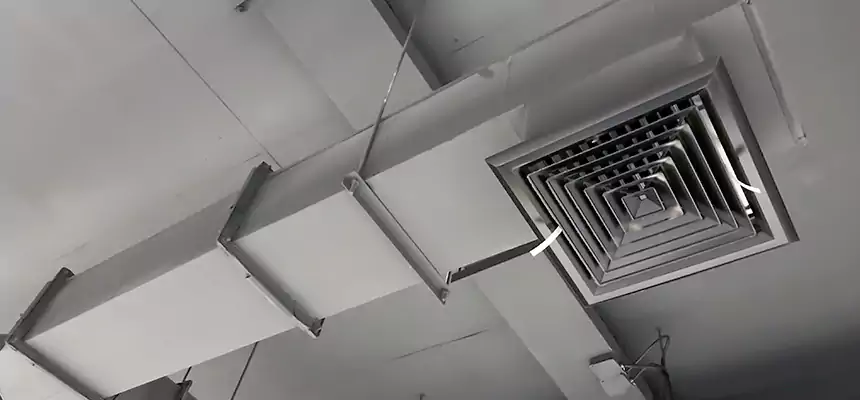 Our Rodent Droppings In Vents Services in Sun City Center, FL