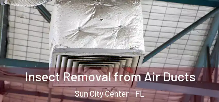 Insect Removal from Air Ducts Sun City Center - FL