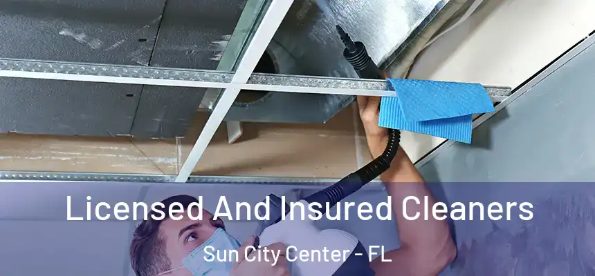 Licensed And Insured Cleaners Sun City Center - FL