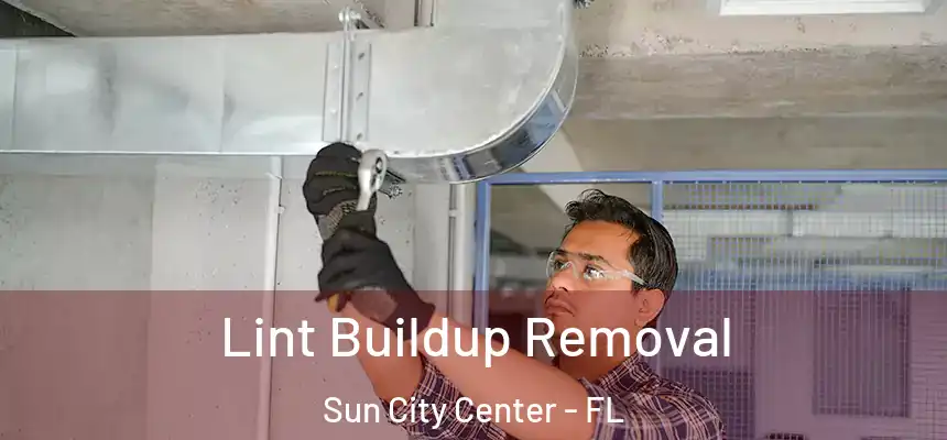 Lint Buildup Removal Sun City Center - FL