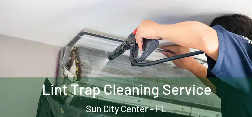 Lint Trap Cleaning Service Sun City Center - FL