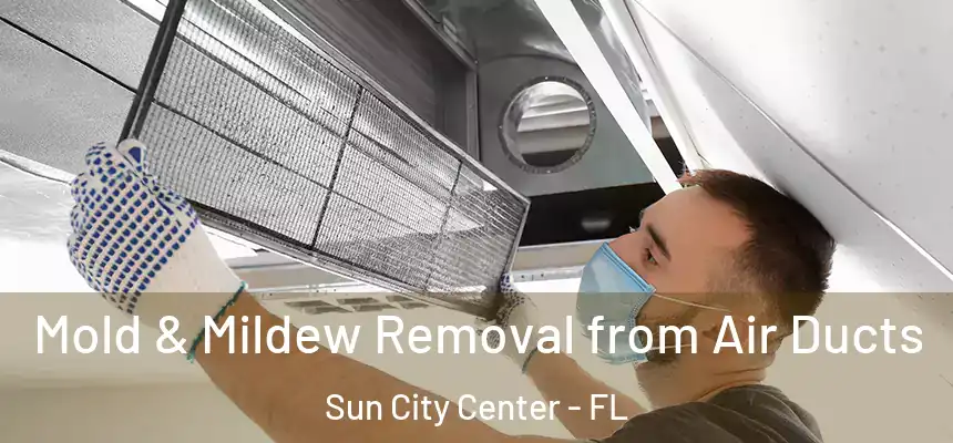 Mold & Mildew Removal from Air Ducts Sun City Center - FL