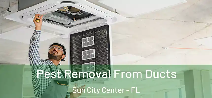 Pest Removal From Ducts Sun City Center - FL