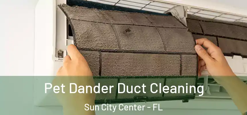 Pet Dander Duct Cleaning Sun City Center - FL
