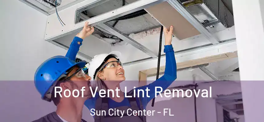 Roof Vent Lint Removal Sun City Center - FL