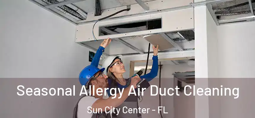 Seasonal Allergy Air Duct Cleaning Sun City Center - FL