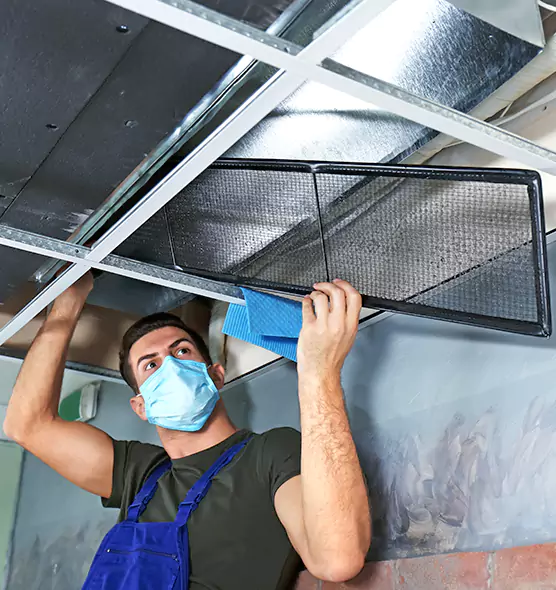 About Air Duct Bacteria Removal in Sun City Center