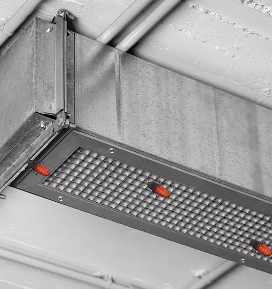 Affordable Insect Removal from Air Ducts in Sun City Center, FL