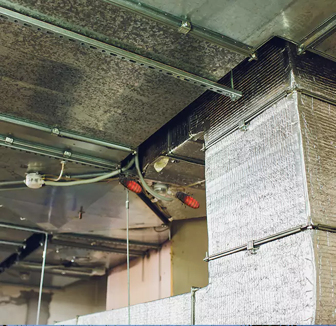 Why Homeowners & Businesses Trust Us in Sun City Center, FL?