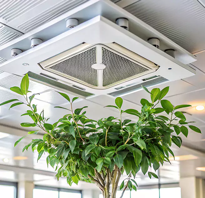 Why Homeowners & Businesses Trust Us in Sun City Center, FL?