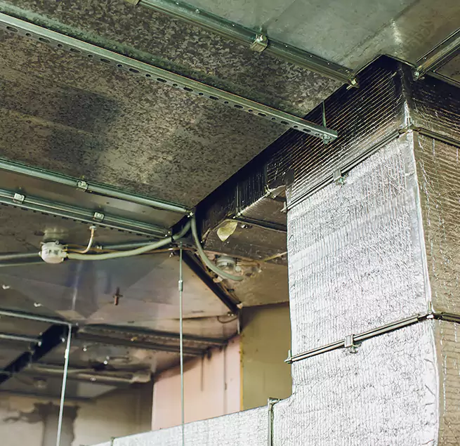 Why Homeowners & Businesses Trust Us in Sun City Center, FL?