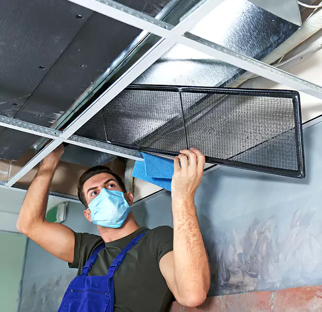 Why Homeowners Businesses Trust Us in Sun City Center, FL?